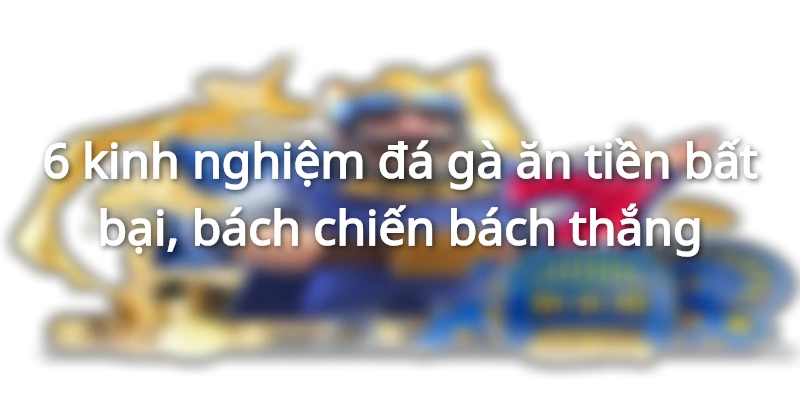 Cẩm Nang Chơi Đá Gà Ăn Tiền Chỉ Thắng Không Thua