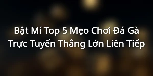 Bật Mí Top 5 Mẹo Chơi Đá Gà Trực Tuyến Thắng Lớn Liên Tiếp