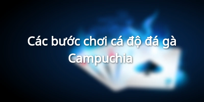 Luật Cá Độ Đá Gà Campuchia Cơ Bản Nhất