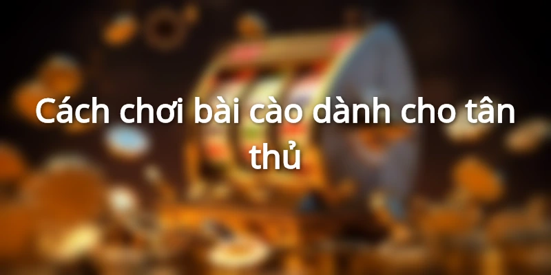 Bài Cào là gì? Hướng dẫn cách chơi và luật chơi mới nhất 2025