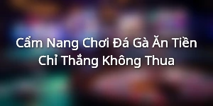 Cẩm Nang Chơi Đá Gà Ăn Tiền Chỉ Thắng Không Thua