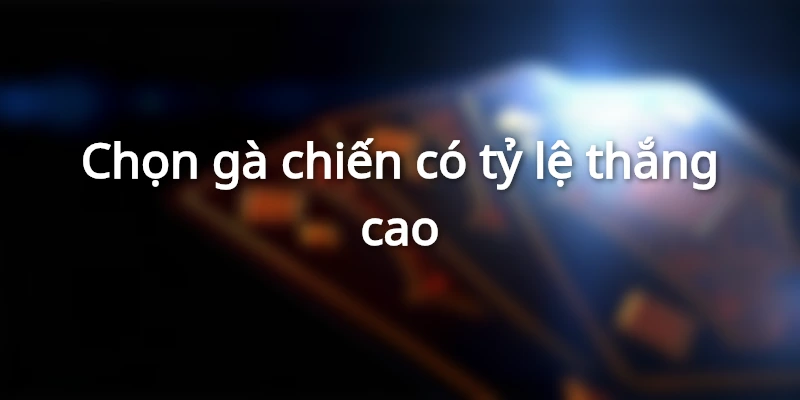 Bật Mí Top 5 Mẹo Chơi Đá Gà Trực Tuyến Thắng Lớn Liên Tiếp