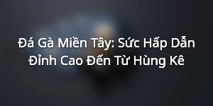 Đá Gà Miền Tây: Sức Hấp Dẫn Đỉnh Cao Đến Từ Hùng Kê