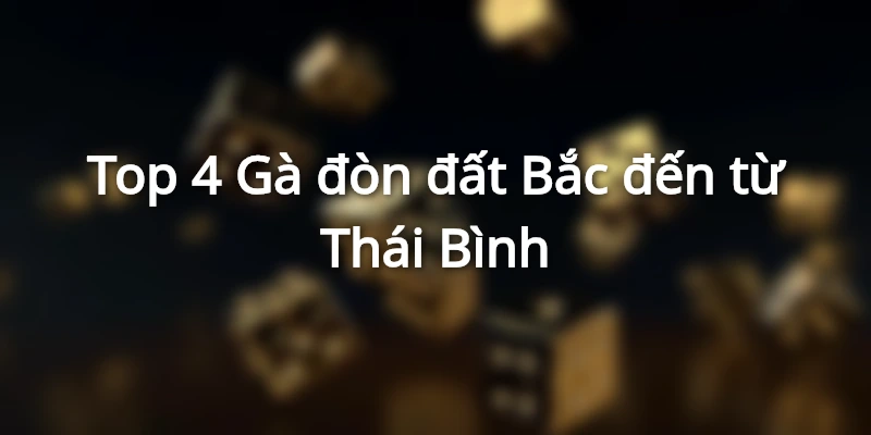 Khám Phá Top 5 Dòng Gà Đòn Đất Bắc Nổi Danh Nhất