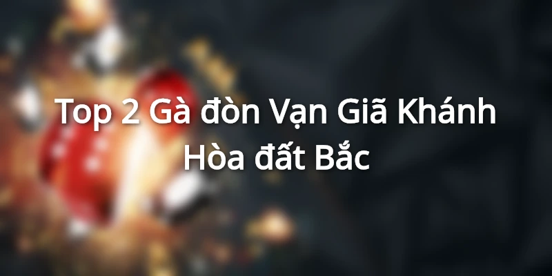 Khám Phá Top 5 Dòng Gà Đòn Đất Bắc Nổi Danh Nhất