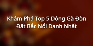 Khám Phá Top 5 Dòng Gà Đòn Đất Bắc Nổi Danh Nhất