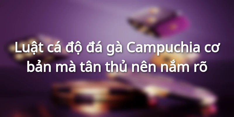 Luật Cá Độ Đá Gà Campuchia Cơ Bản Nhất