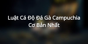 Luật Cá Độ Đá Gà Campuchia Cơ Bản Nhất