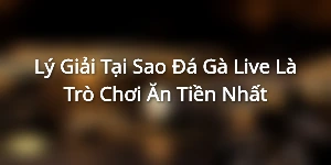 Lý Giải Tại Sao Đá Gà Live Là Trò Chơi Ăn Tiền Nhất