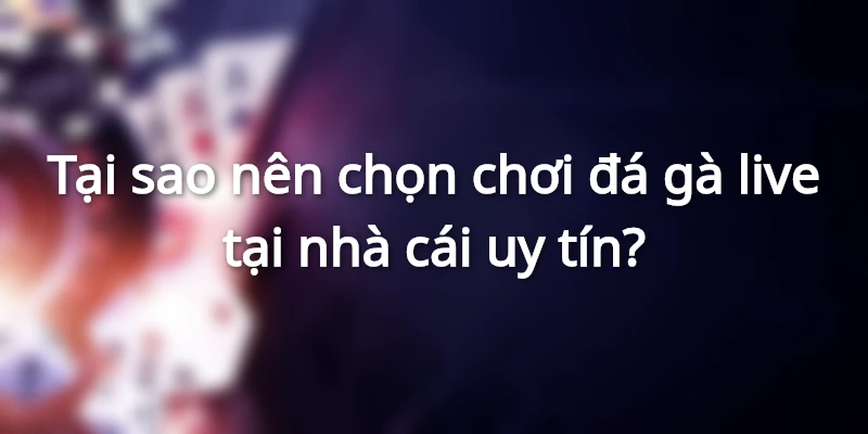 Lý Giải Tại Sao Đá Gà Live Là Trò Chơi Ăn Tiền Nhất