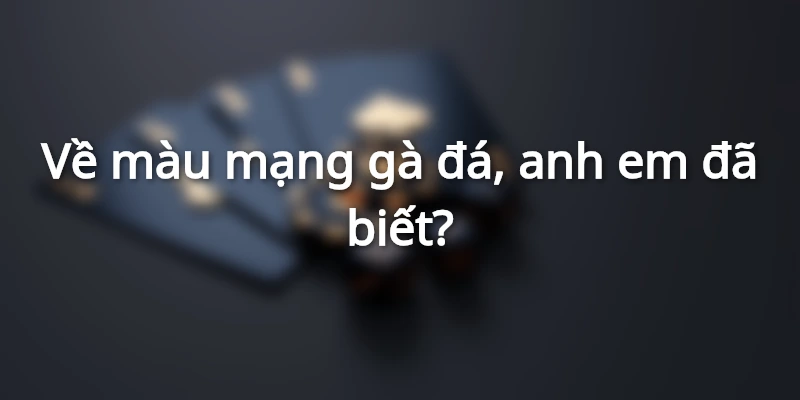 Hôm Nay Đá Gà Màu Gì Ngon? Cách Xem Màu Gà Đá Chuẩn